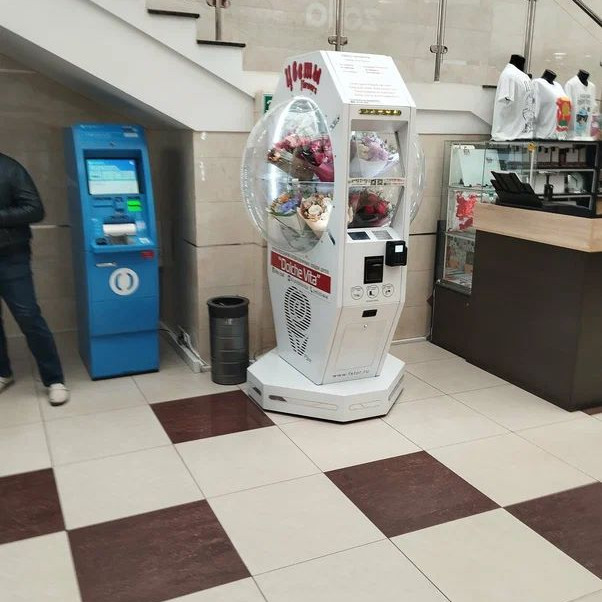 Зелёное вдохновение