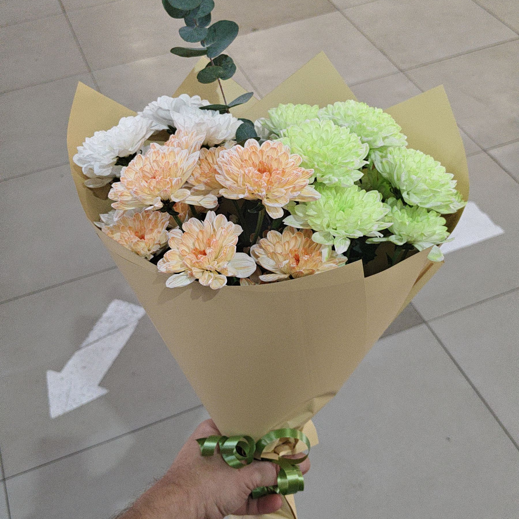 Лола и её свита
